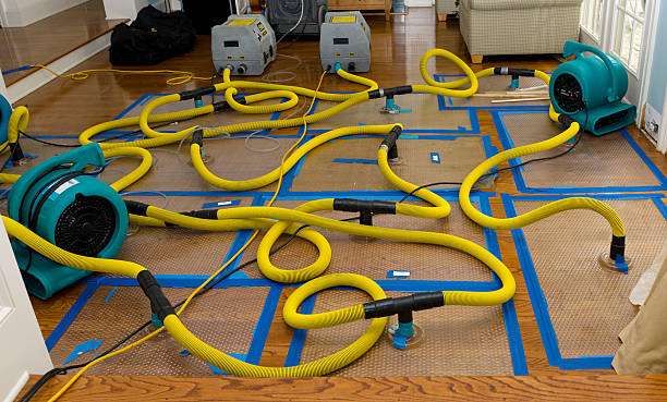 Professional Crawl Space Water Removal technician working in De Soto, IA